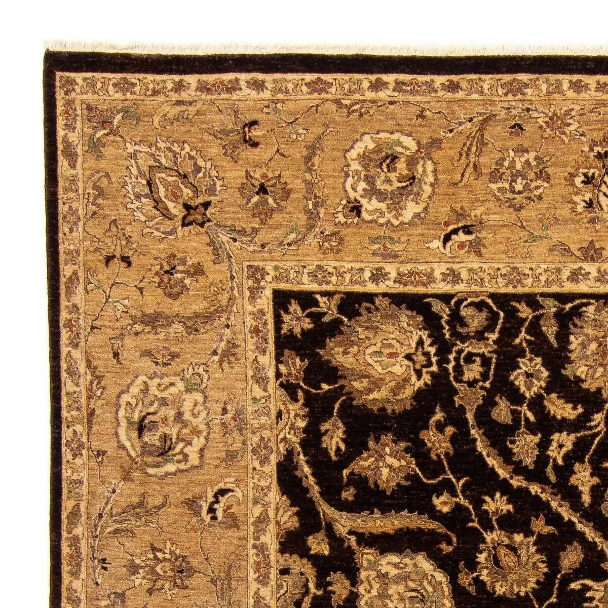 Tapis Pakistani - 303 x 242 cm - bleu foncé