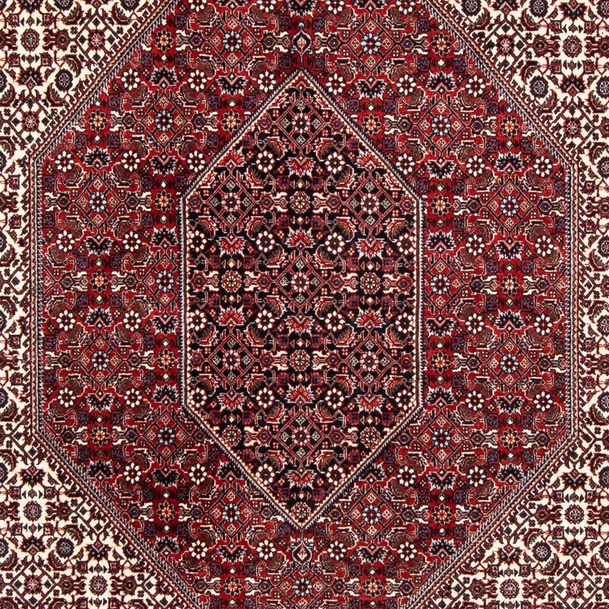 Tapis persan - Bidjar - 241 x 170 cm - rouge foncé