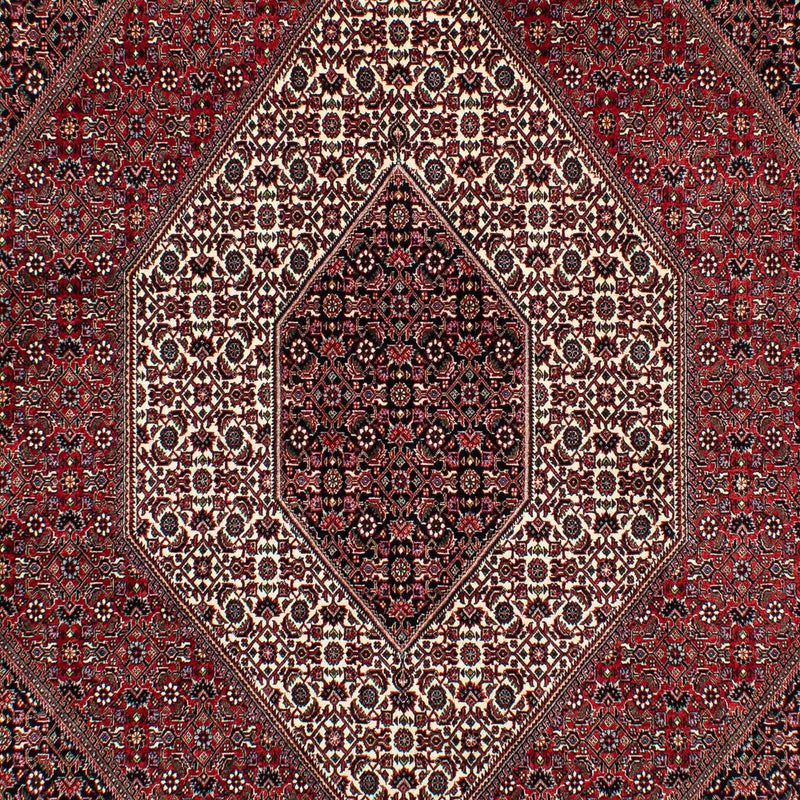 Tapis persan - Bidjar - 305 x 203 cm - rouge foncé
