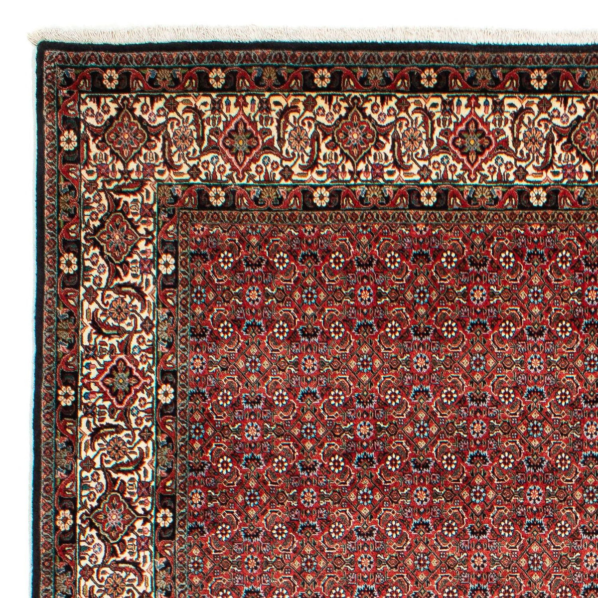 Tapis persan - Bidjar - 307 x 208 cm - rouge foncé