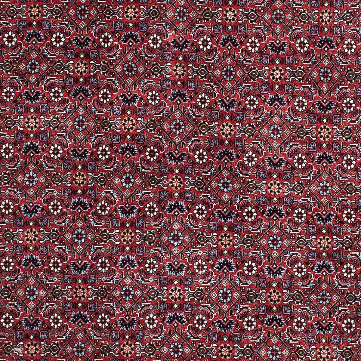 Tapis persan - Bidjar - 202 x 132 cm - rouge