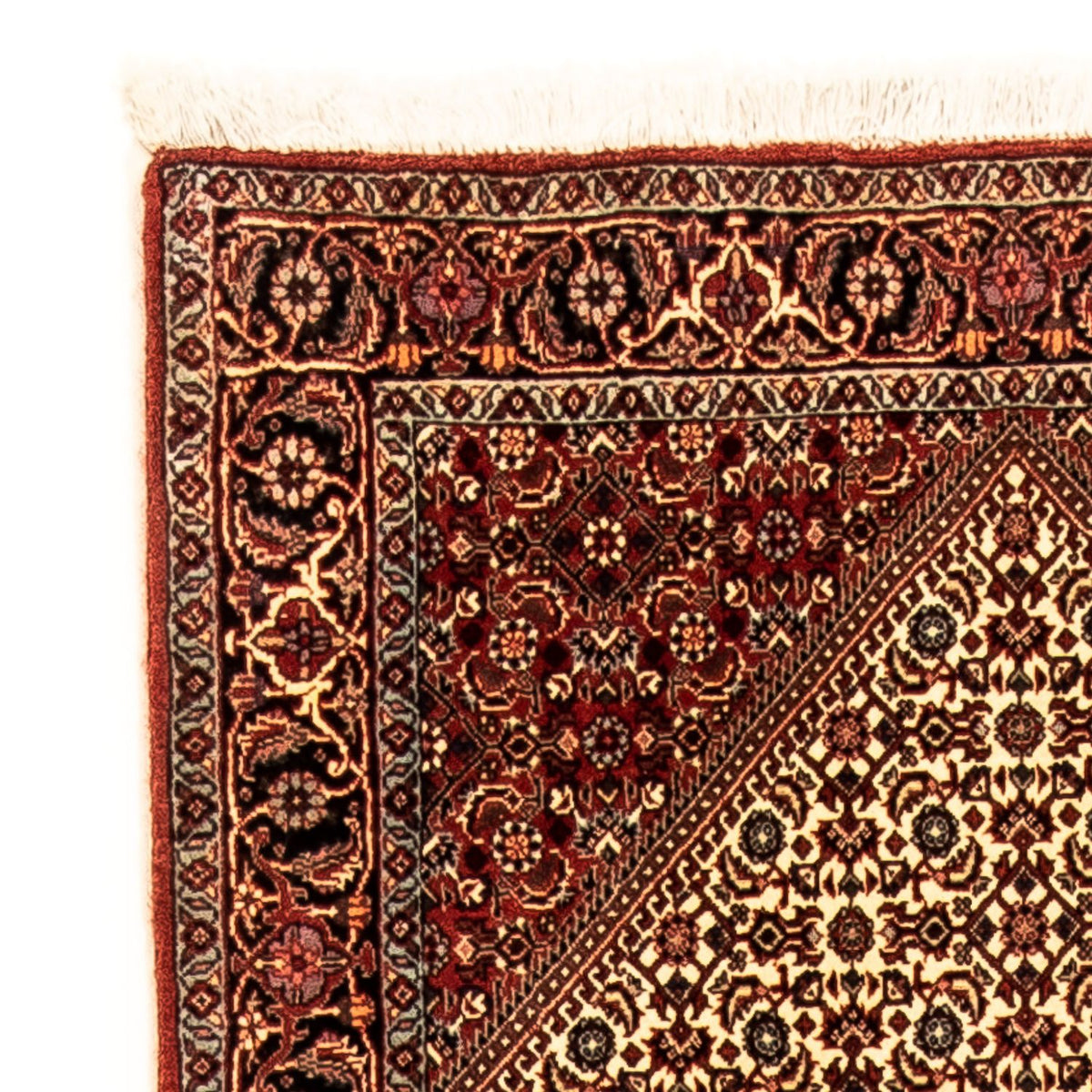 Tapis de couloir Tapis persan - Bidjar - 308 x 85 cm - multicolore