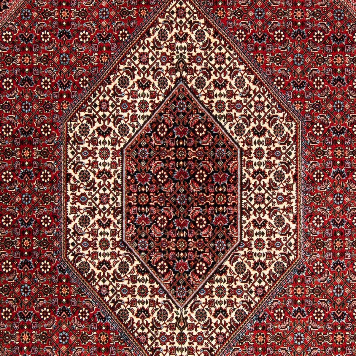 Tapis persan - Bidjar - 252 x 170 cm - rouge foncé