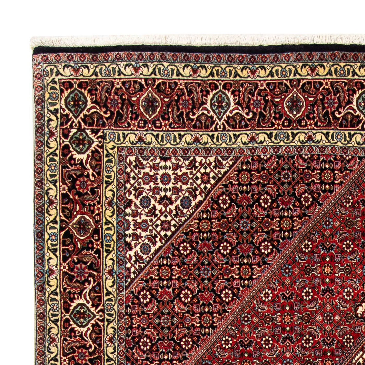Tapis persan - Bidjar - 252 x 170 cm - rouge foncé