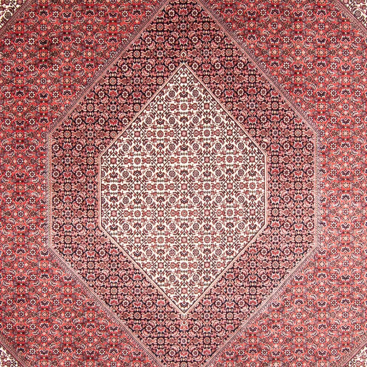 Tapis persan - Bidjar - 355 x 248 cm - rouge clair
