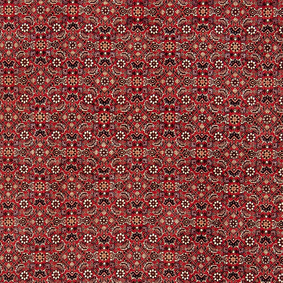 Tapis persan - Bidjar - 248 x 174 cm - rouge