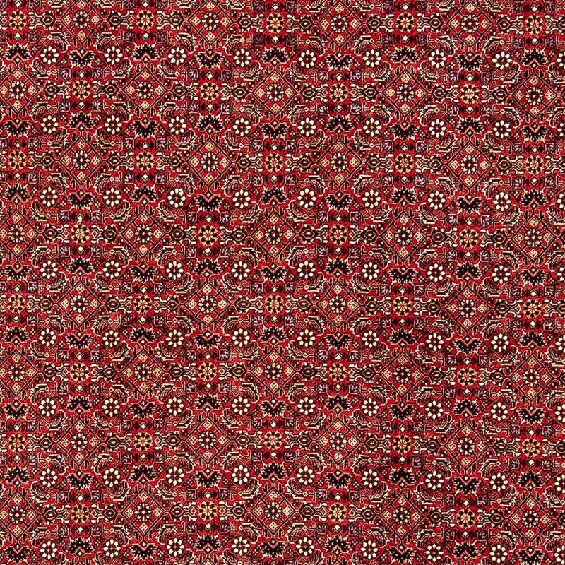 Tapis persan - Bidjar - 248 x 174 cm - rouge