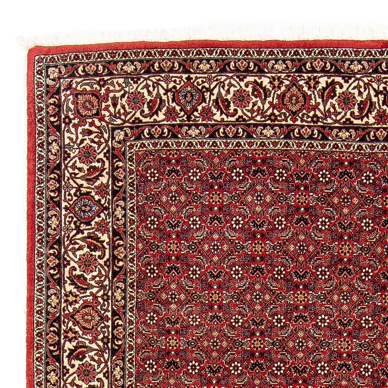 Tapis persan - Bidjar - 248 x 174 cm - rouge