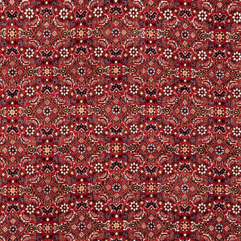 Tapis persan - Bidjar - 340 x 252 cm - rouge