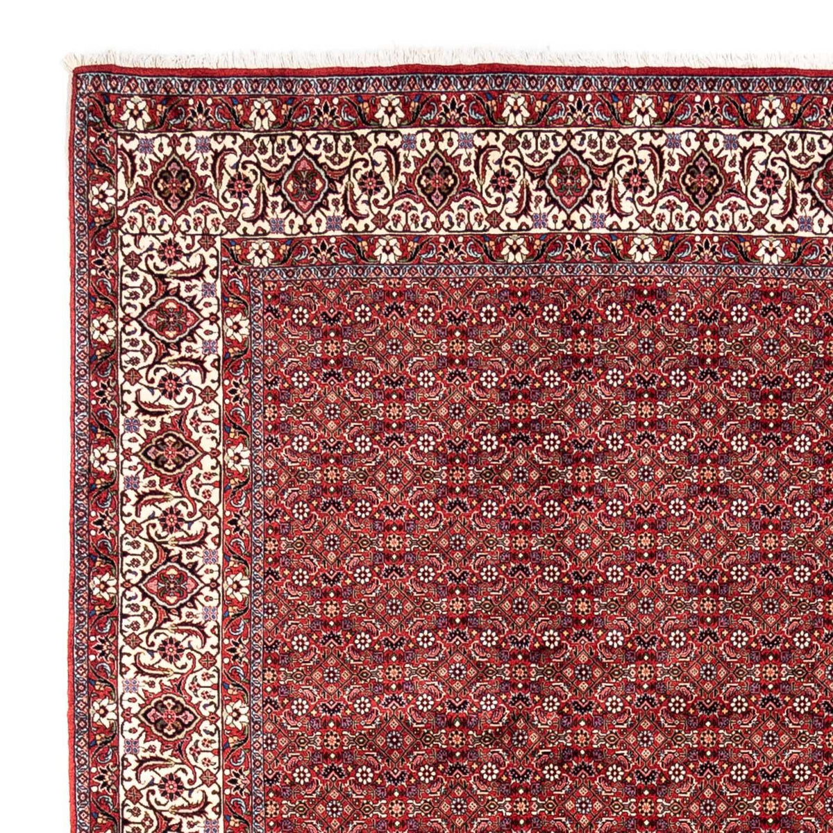 Tapis persan - Bidjar - 340 x 252 cm - rouge