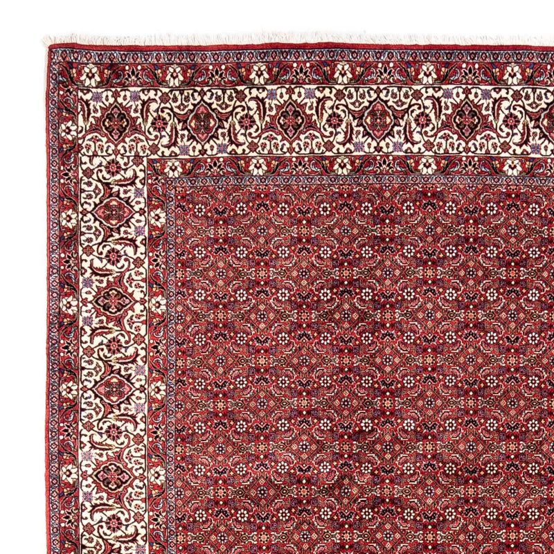 Tapis persan - Bidjar - 340 x 252 cm - rouge