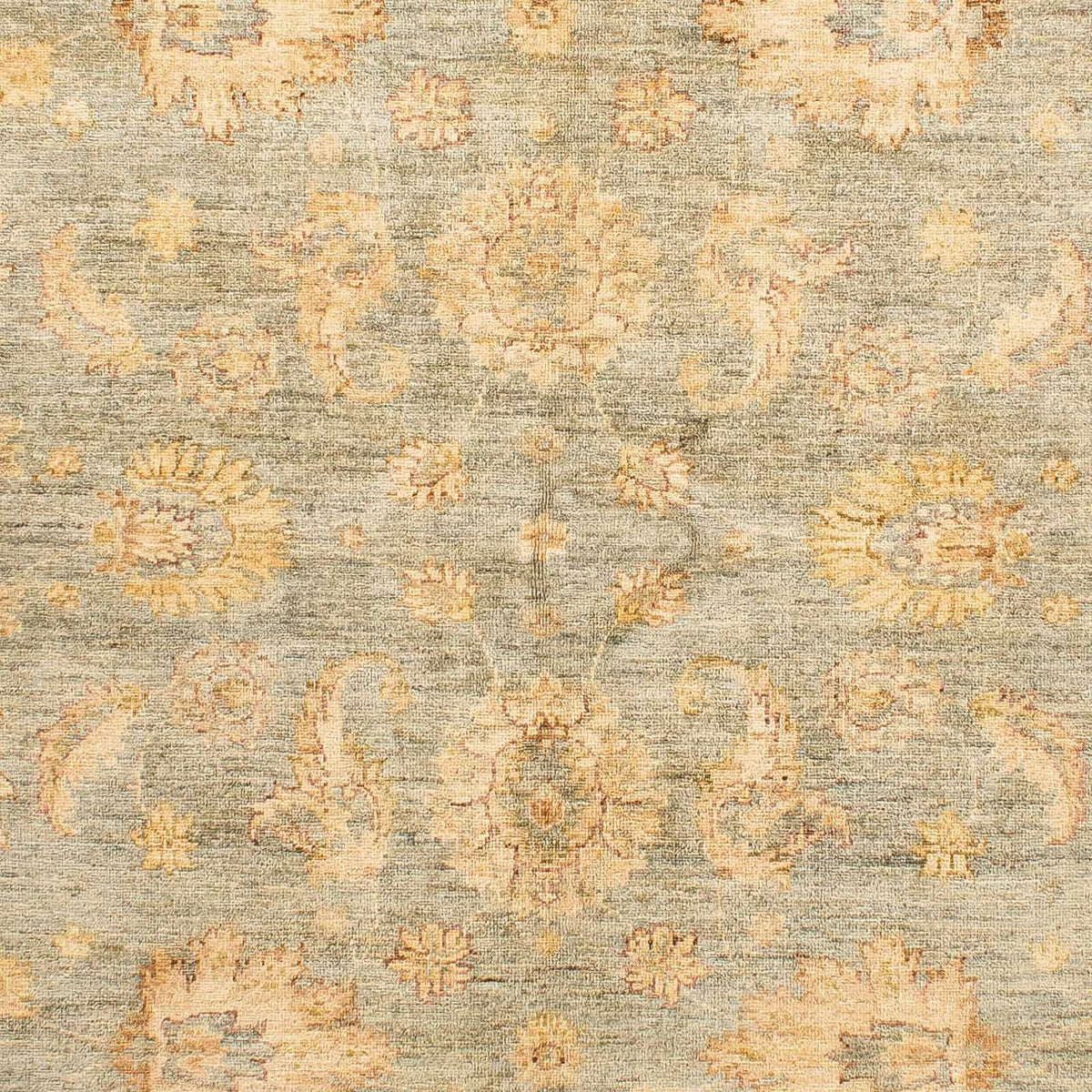Tapis Ziegler - 234 x 173 cm - marron clair