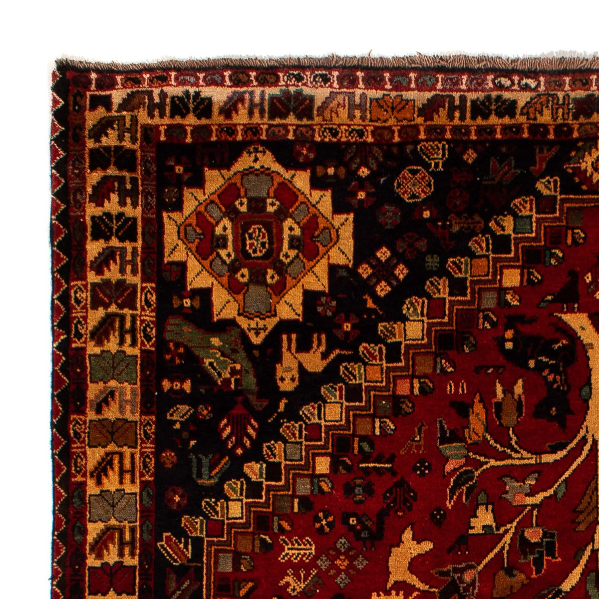 Tapis persan - Nomadic - 310 x 201 cm - rouge foncé