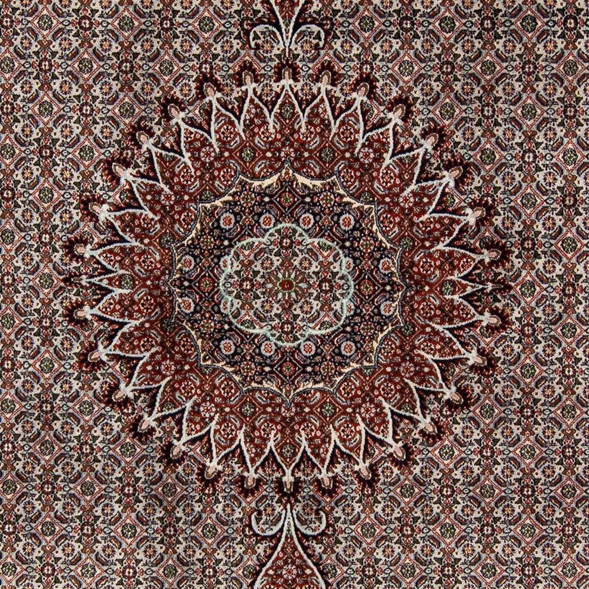 Tapis persan - Classique - 284 x 201 cm - beige
