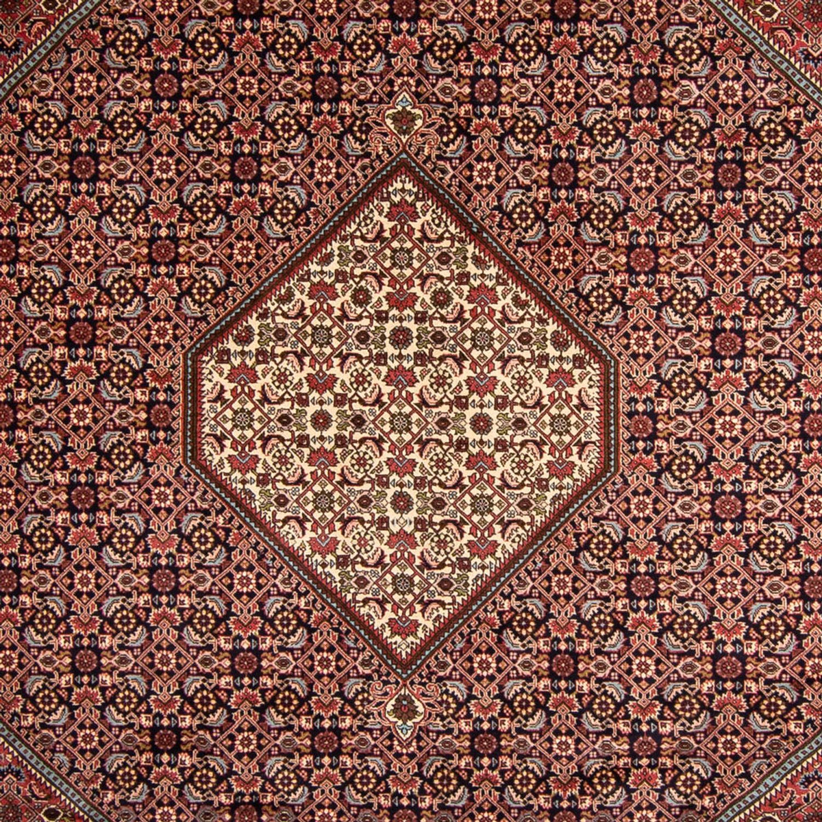 Tapis persan - Bidjar - 340 x 252 cm - marron