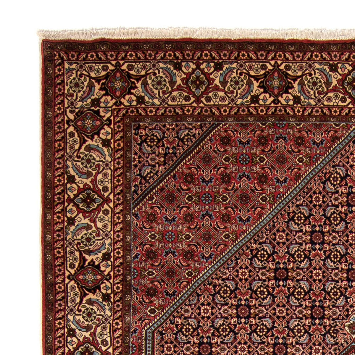 Tapis persan - Bidjar - 340 x 252 cm - marron