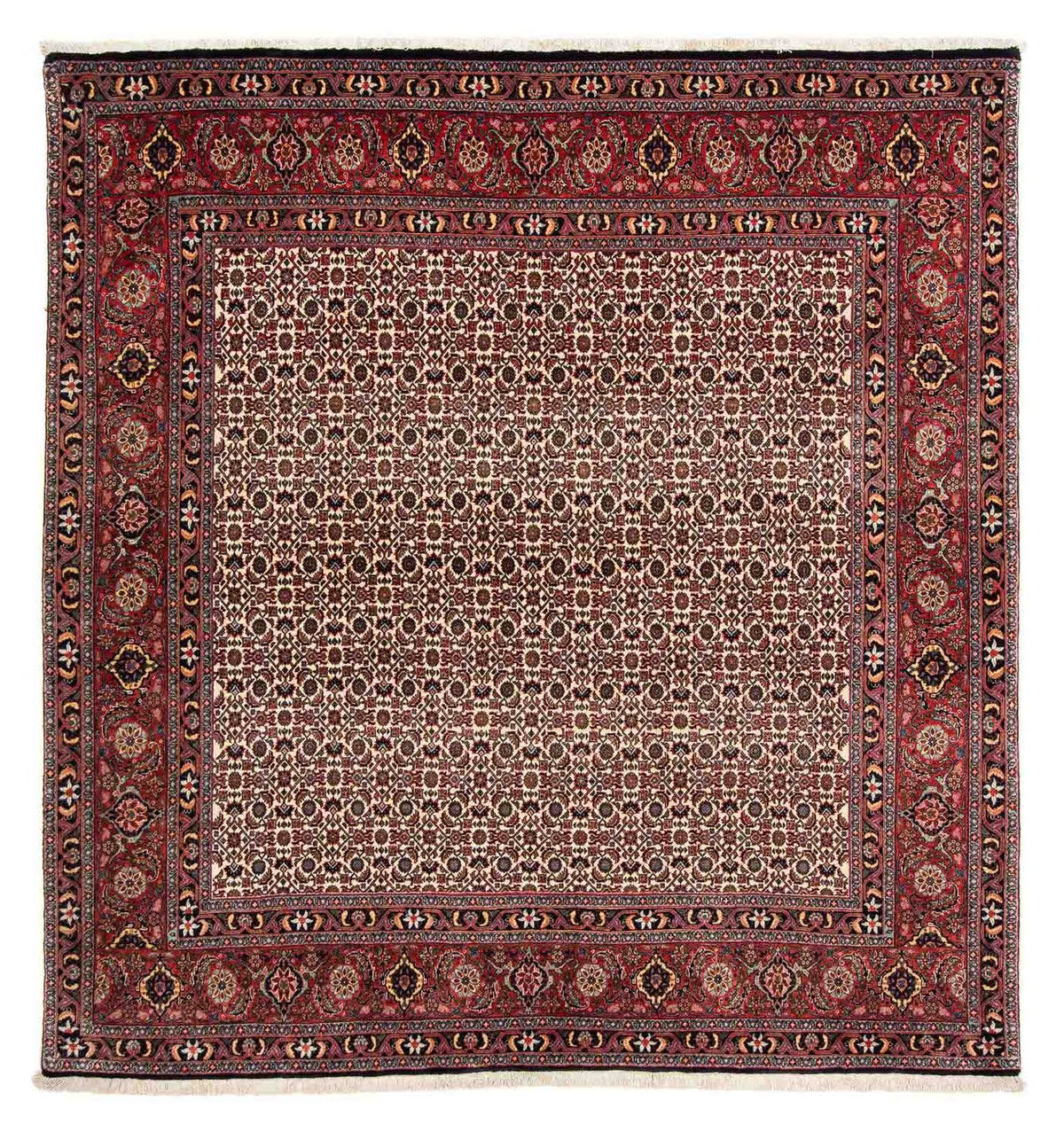 Tapis persan - Bidjar carré  - 204 x 201 cm - rouge foncé