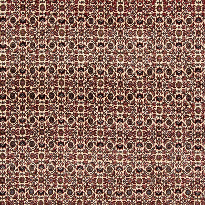 Tapis persan - Bidjar carré  - 204 x 201 cm - rouge foncé