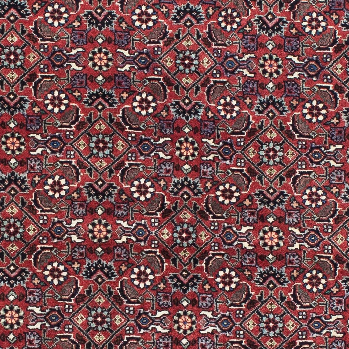 Tapis persan - Bidjar - 193 x 176 cm - rouge