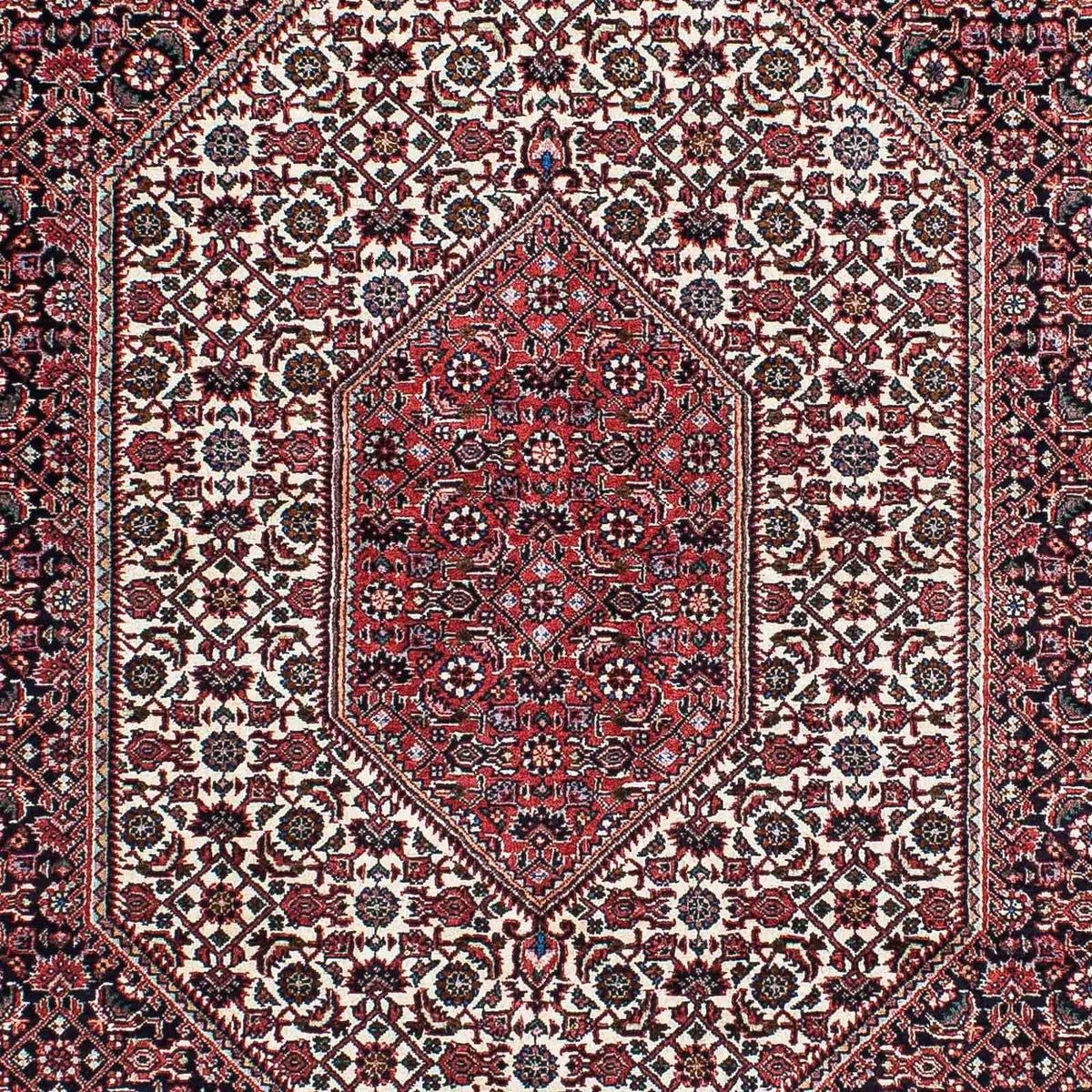 Tapis persan - Bidjar - 211 x 132 cm - rouge clair