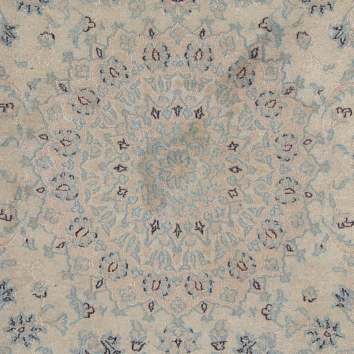 Tapis persan - Nain - 350 x 248 cm - marron clair