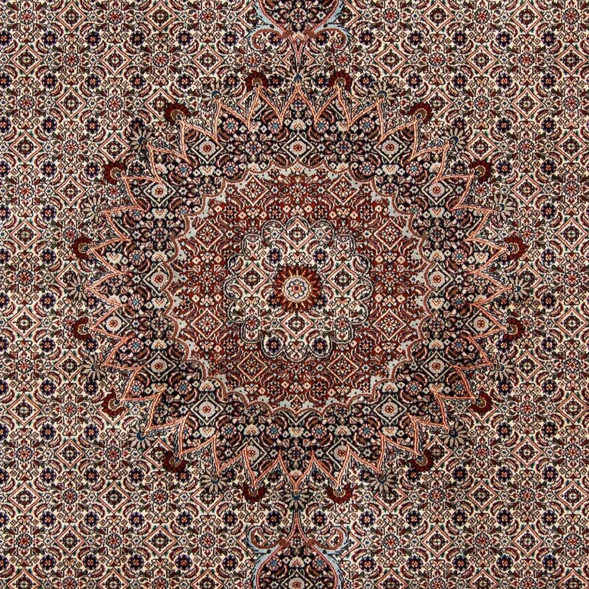 Tapis persan - Classique - 289 x 202 cm - beige