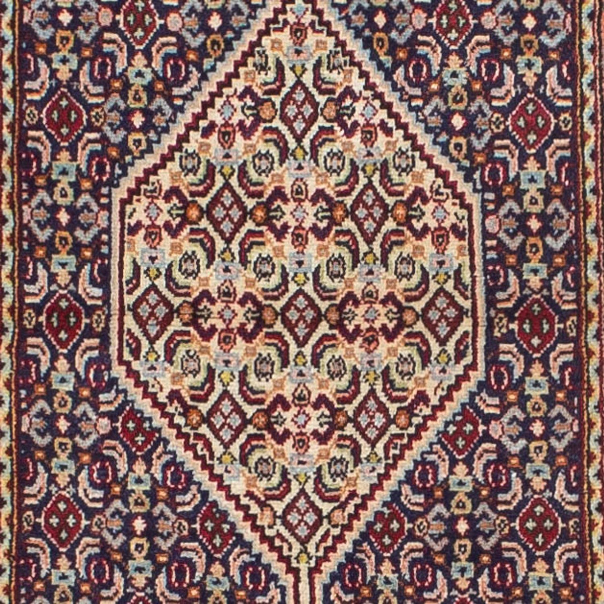 Tapis de couloir Tapis persan - Classique - 249 x 50 cm - multicolore