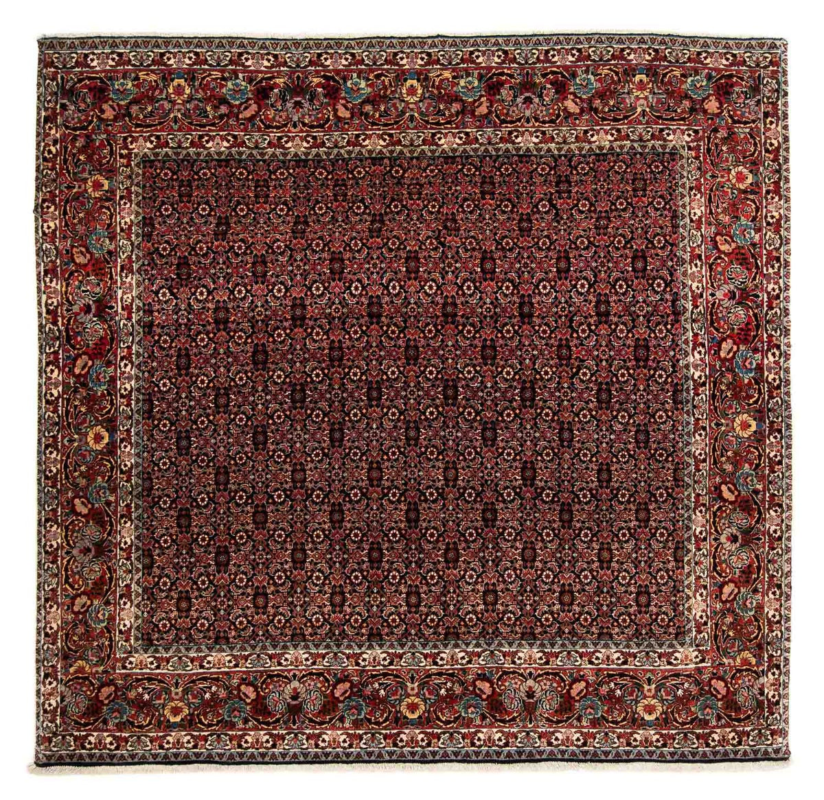 Tapis persan - Bidjar carré - 208 x 197 cm - marron