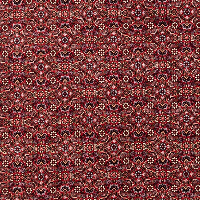 Tapis persan - Bidjar - 338 x 252 cm - rouge