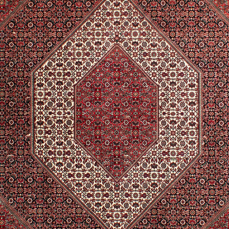 Tapis persan - Bidjar - 293 x 203 cm - rouge clair
