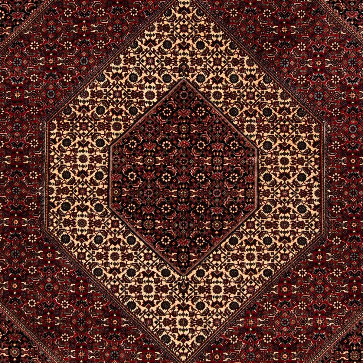 Tapis persan - Bidjar - 242 x 203 cm - rouge foncé