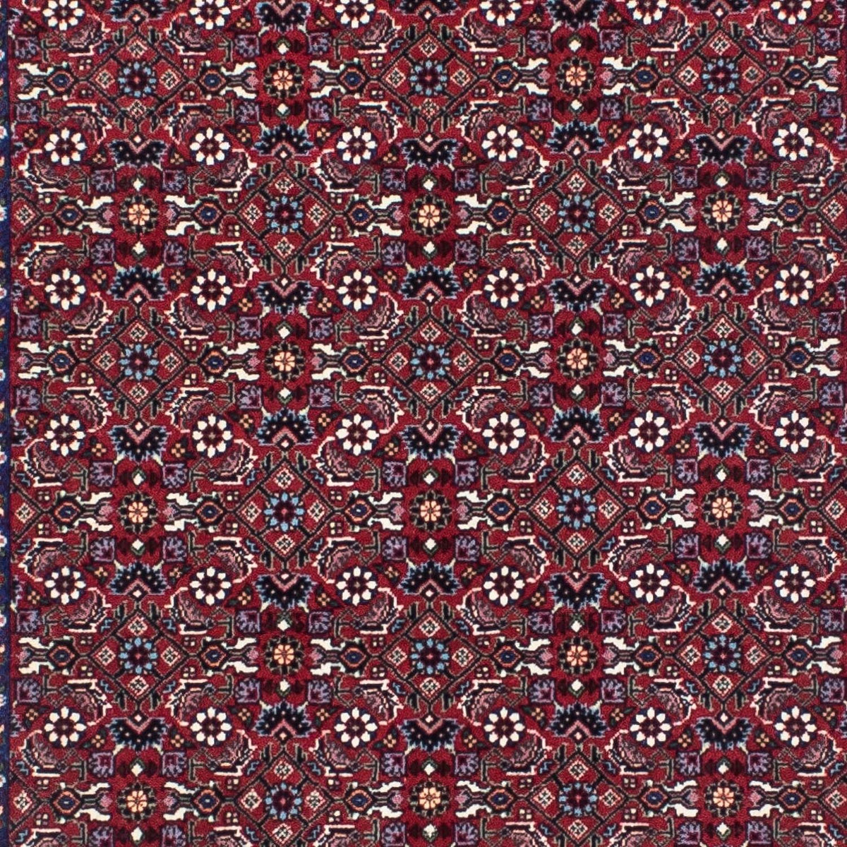 Tapis de couloir Tapis persan - Bidjar - 295 x 86 cm - rouille
