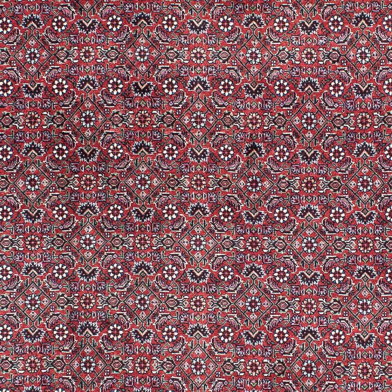 Tapis persan - Bidjar - 216 x 128 cm - rouge clair