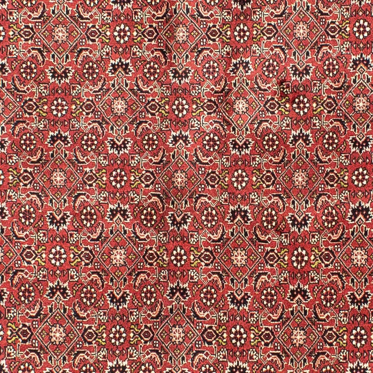Tapis persan - Bidjar - 205 x 141 cm - rouge foncé
