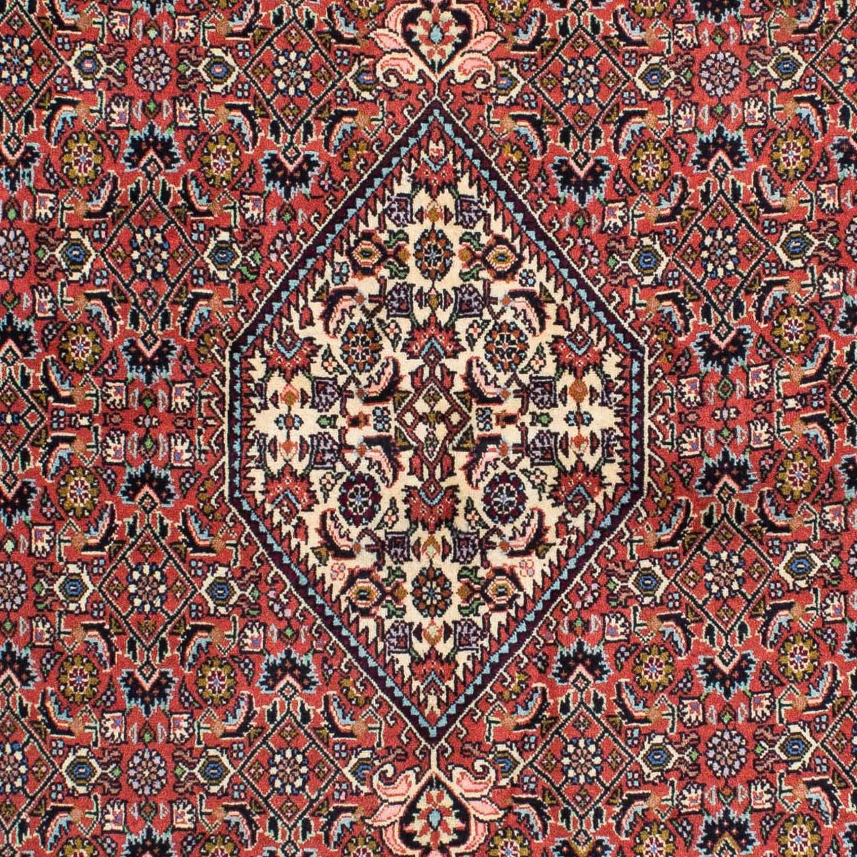 Tapis persan - Bidjar - 231 x 141 cm - rouge