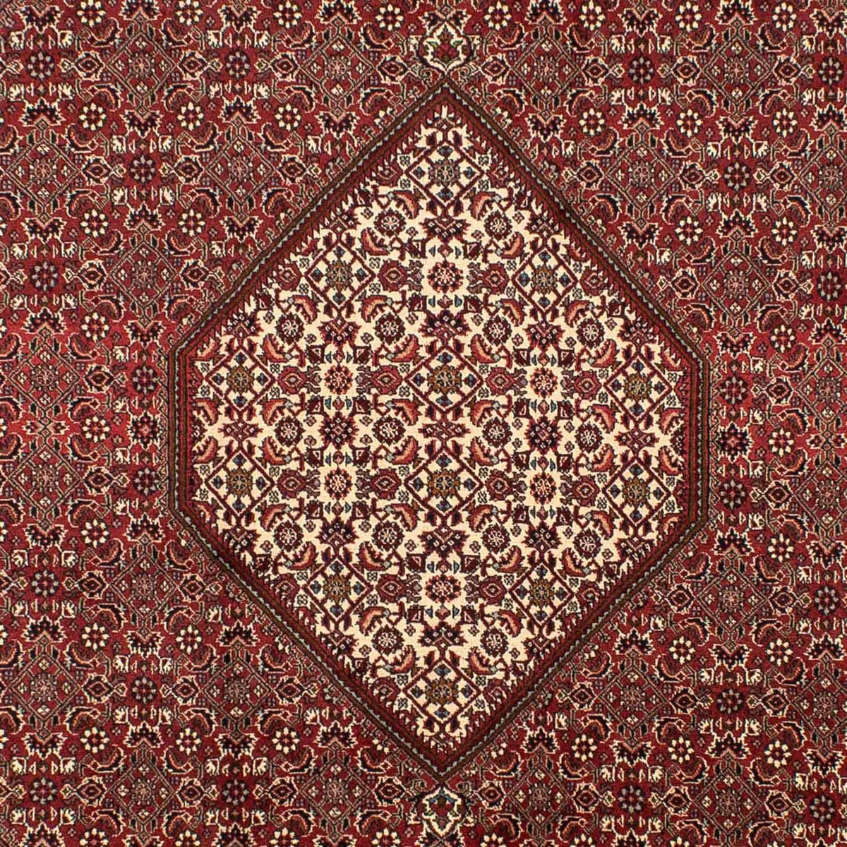 Tapis persan - Bidjar - 295 x 204 cm - marron