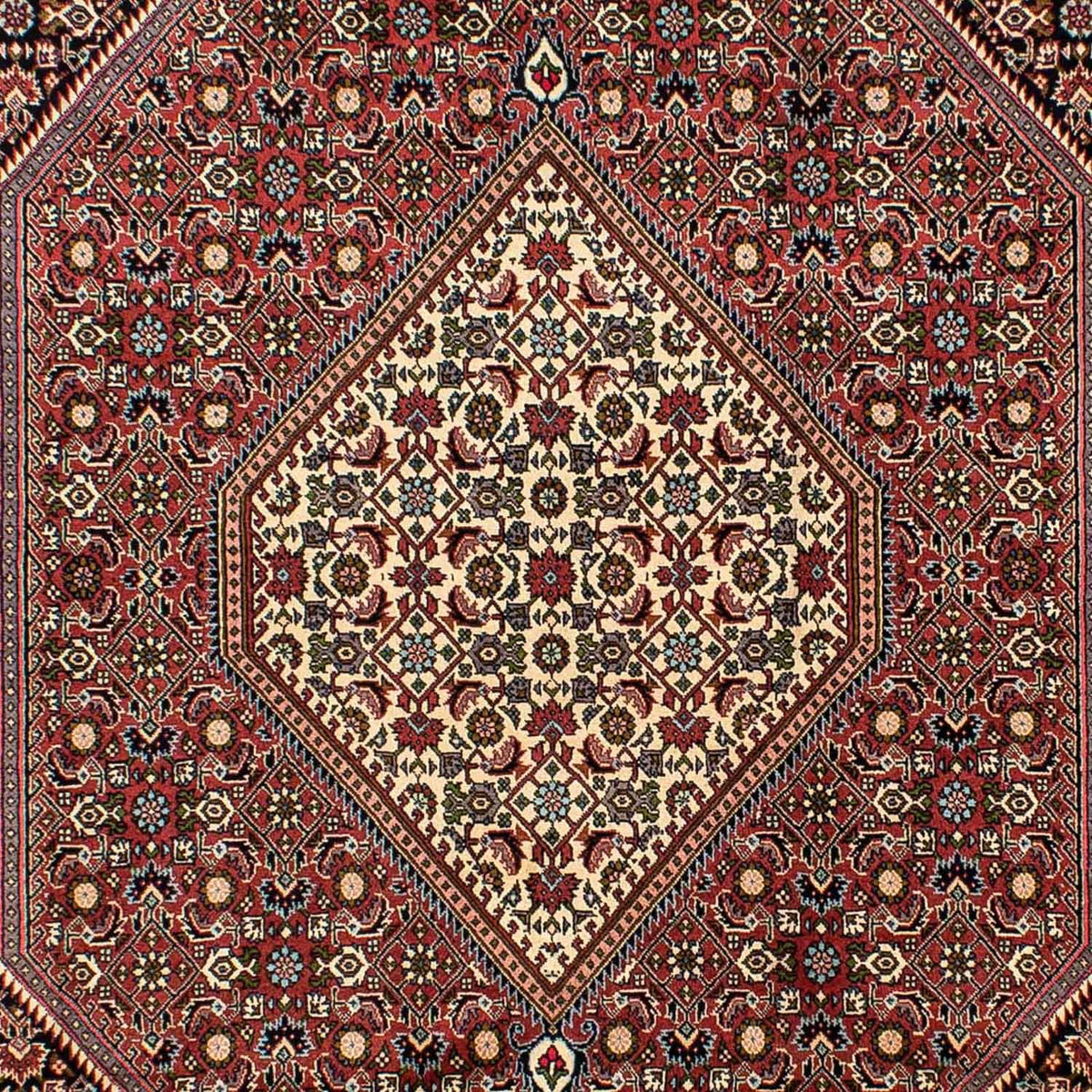 Tapis persan - Bidjar - 291 x 196 cm - rouge clair