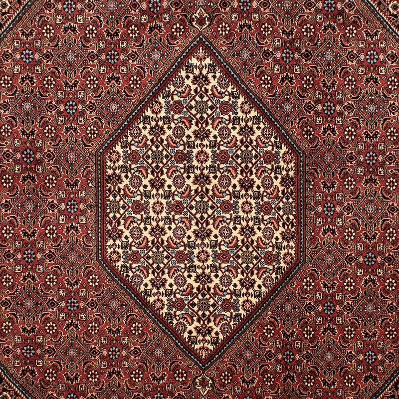 Tapis persan - Bidjar - 298 x 206 cm - marron
