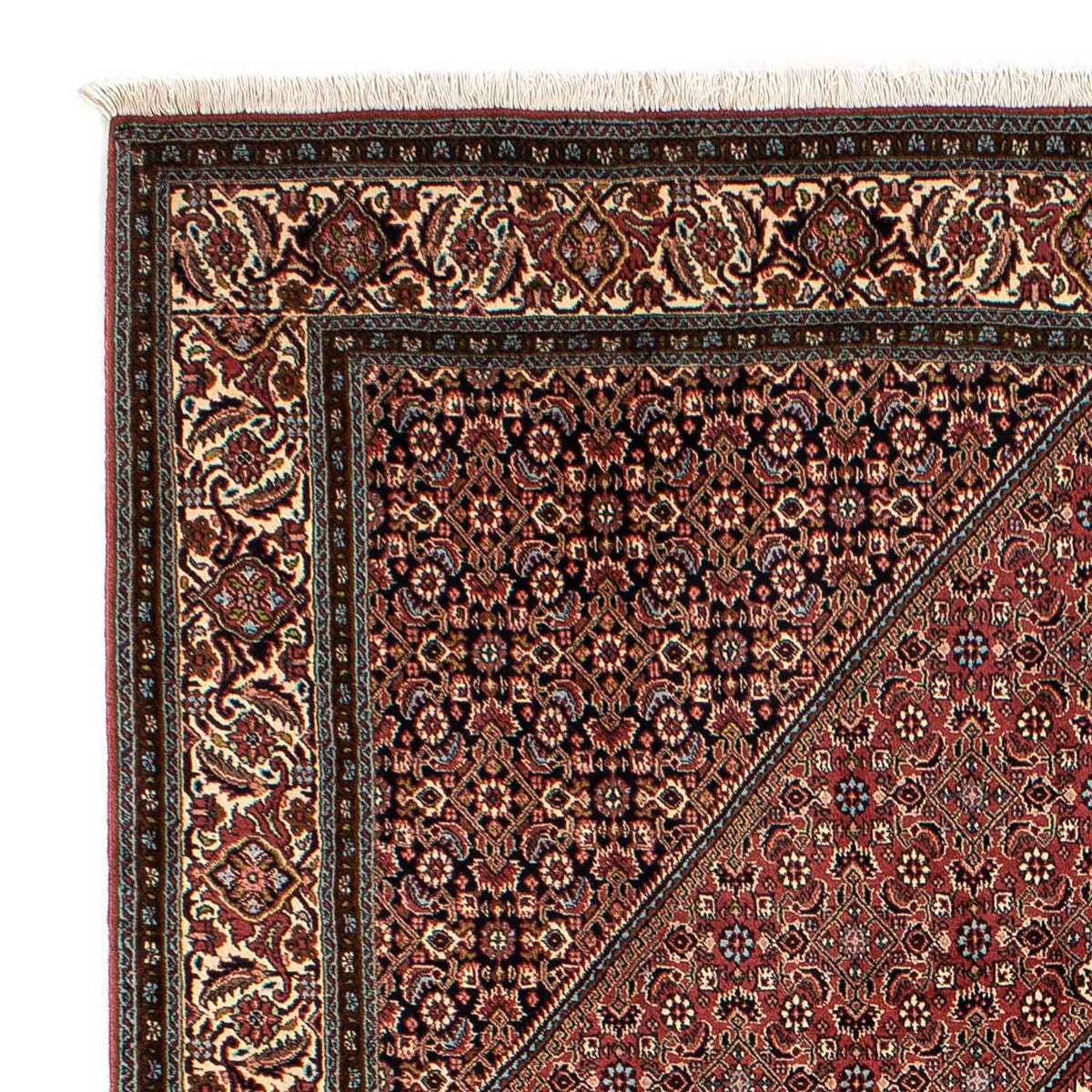 Tapis persan - Bidjar - 298 x 206 cm - marron