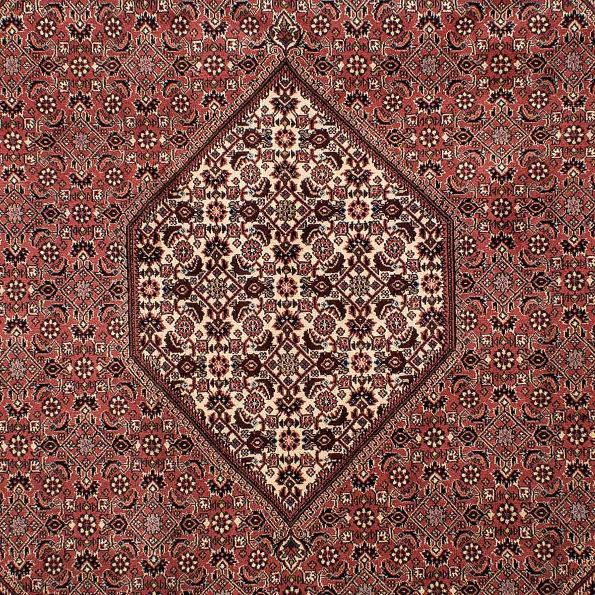 Tapis persan - Bidjar - 308 x 204 cm - marron