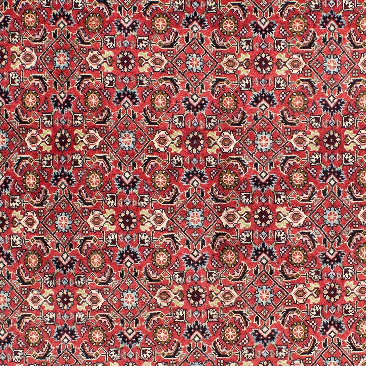 Tapis persan - Bidjar - 233 x 138 cm - rouge