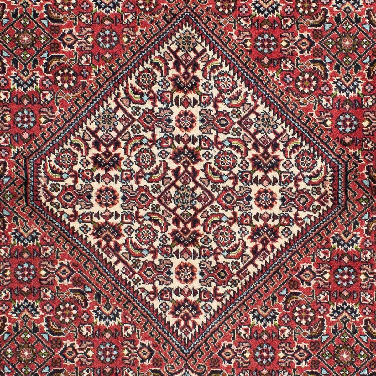 Tapis persan - Bidjar - 224 x 140 cm - rouge