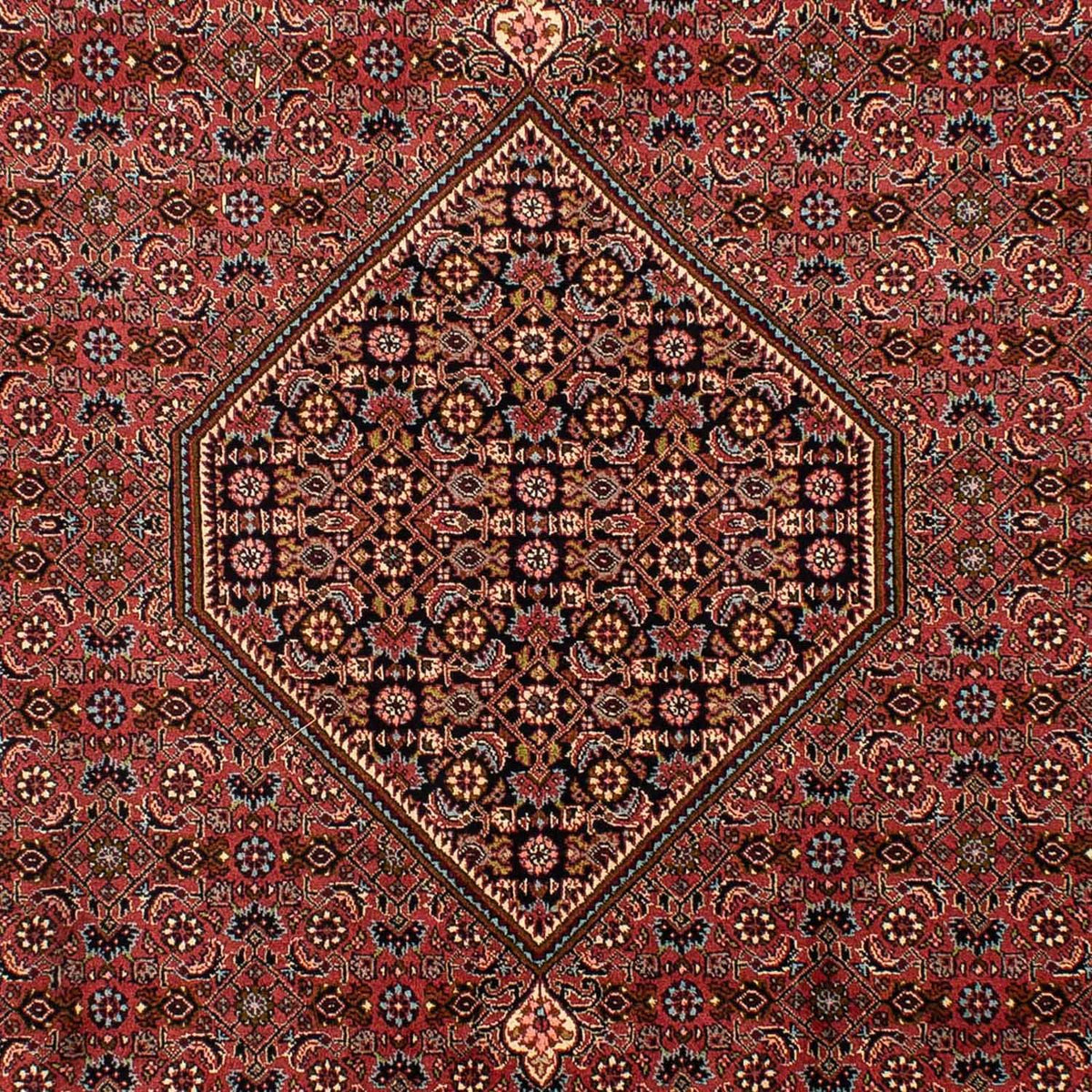 Tapis persan - Bidjar - 321 x 197 cm - marron