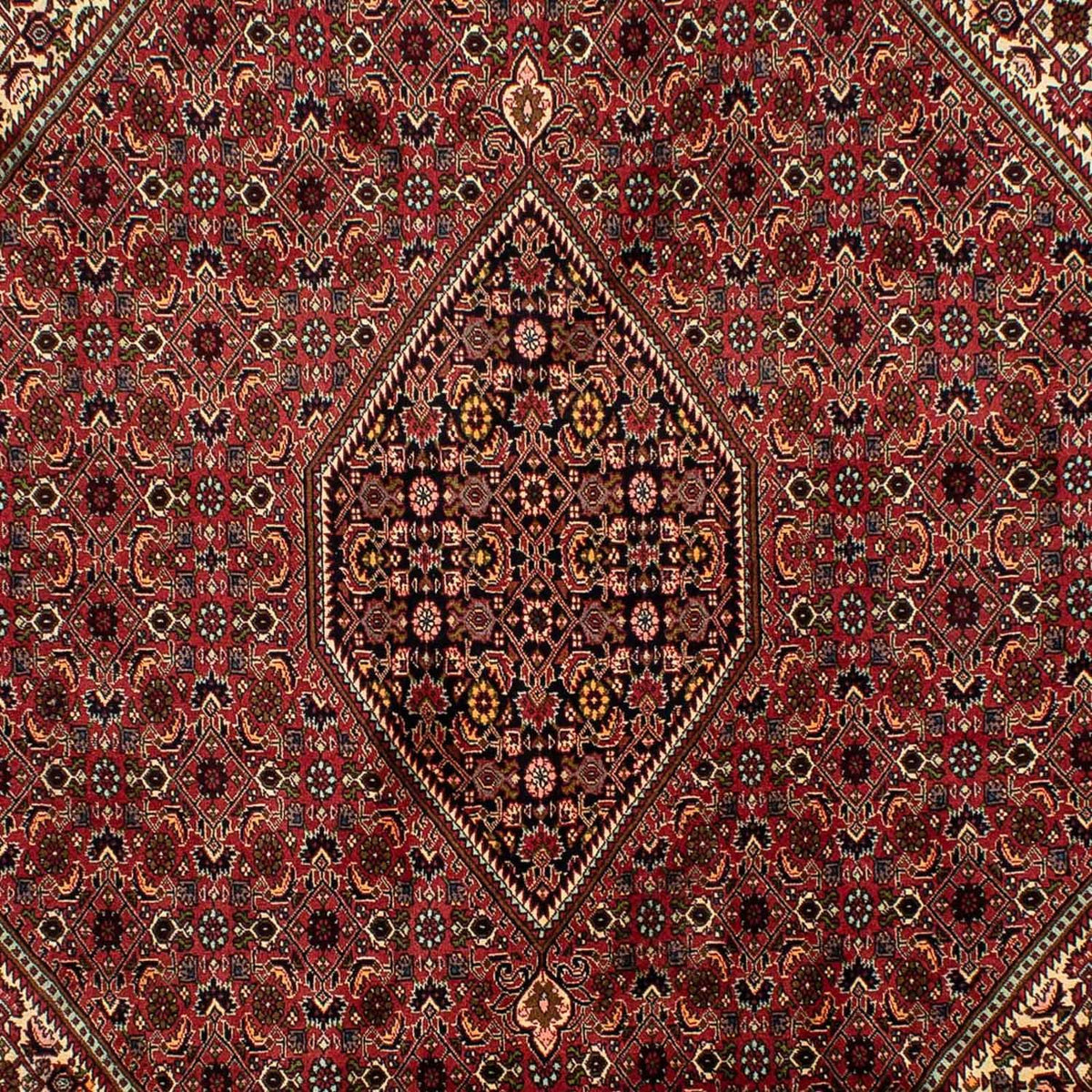 Tapis persan - Bidjar - 305 x 200 cm - marron