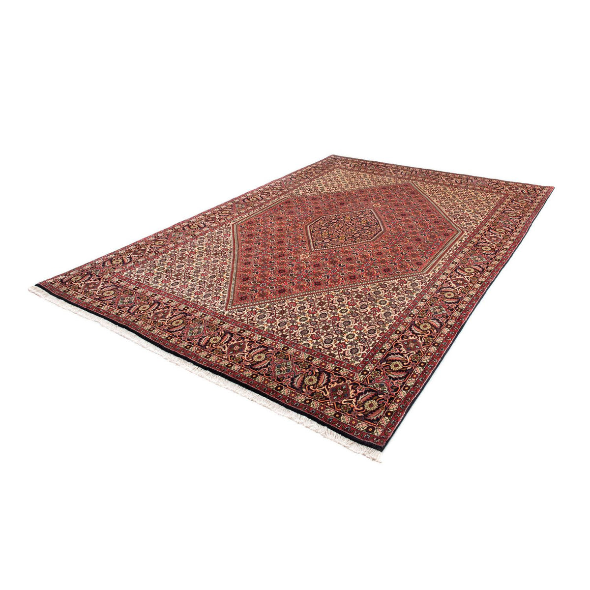 Tapis persan - Bidjar - 305 x 200 cm - marron