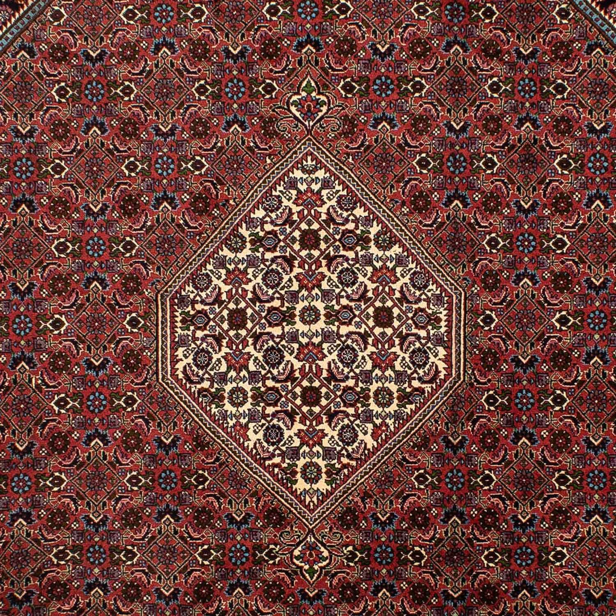 Tapis persan - Bidjar - 302 x 198 cm - marron