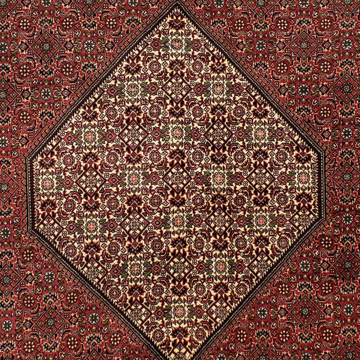 Tapis persan - Bidjar - 265 x 171 cm - marron