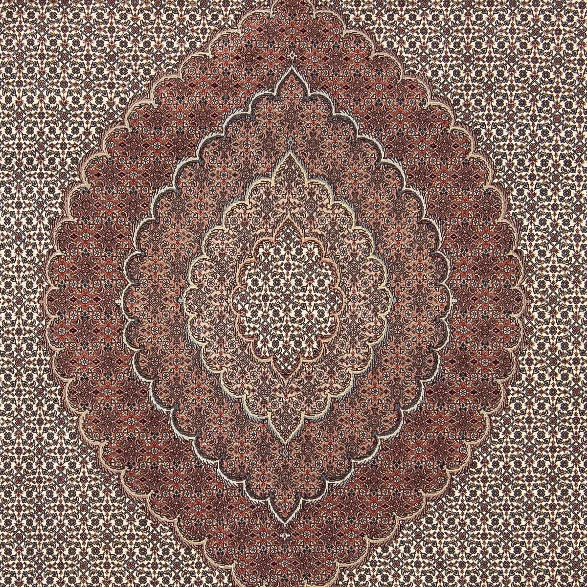 Tapis persan - Tabriz - 300 x 250 cm - multicolore