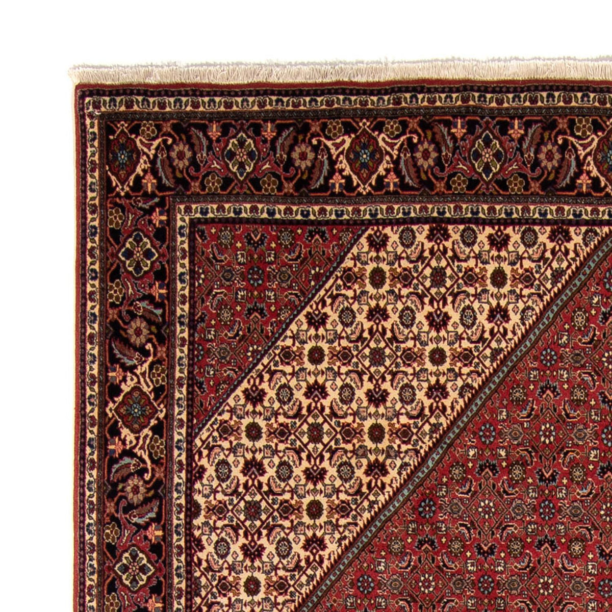 Tapis persan - Bidjar - 343 x 248 cm - marron