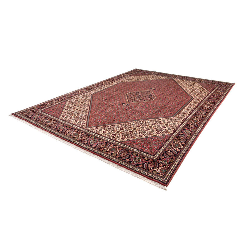 Tapis persan - Bidjar - 343 x 248 cm - marron